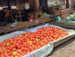 Paguyuban Petani Di Bogor Ungkap Kenaikan Harga Tomat di Pasaran