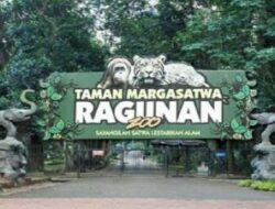 Kemarin, Taman Margasatwa Ragunan Dipadati 3.448 Pengunjung