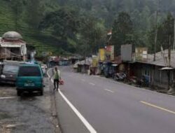 Rencana Pembangunan Tol Bogor Cianjur Diragukan Warga Puncak Khawatir Merusak Hutan