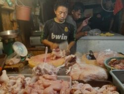 Harga Ayam Potong Ikut Naik