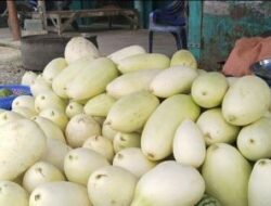 Setelah Durian Buah Timun Suri Mulai Marak di Pasar Tradisional Kota Bogor