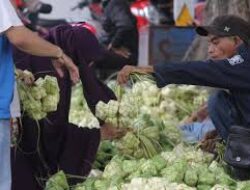 Daun Ketupat Laris Manis Menjelang Lebaran Dibogor