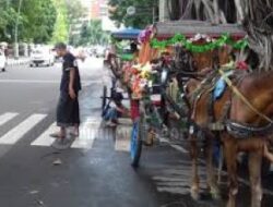 Delman di Kota Bogor Tergerus Transportasi Listrik