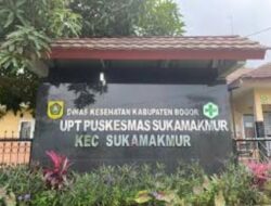 Satu Keluarga Masuk Jurang Pohon Pinus Tidak Ada Korban Jiwa