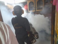 RW 12 Kelurahan Tomang Darurat DBD, Puskesmas Grogol Pertamburan Laksanakan Fogging