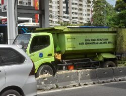 Cegah Pohon Tumbang, Sudin Kehutanan Jakbar Pangkas Pohon di Jalan Daan Mogot