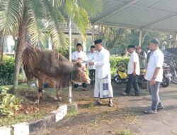 Berasal Dari Desa, Pj Bupati Bogor Sembelihan Hewan Qurban Sendiri