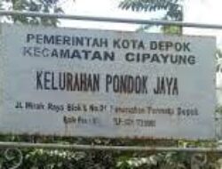 Lomba Penyuluhan Kader Posyandu Meriah di Kelurahan Pondok Jaya