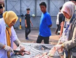 Deteksi PMK, Sudin KPKP Periksa 123,78 kg Organ Hewan Qurban