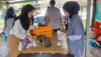 DKP Kota Tangerang Gelar Vaksin Rabies Gratis