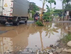 Kubangan Jalan di Gunung Putri Ditabur Ikan Lele, Protes Perbaikan Jalan