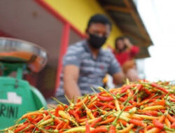 Harga Cabai Rawit Melonjak Pedagang Menjerit