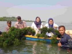 Warga Binaan Sudin KKP Kepulauan Seribu, Sukses Panen Rumput Laut