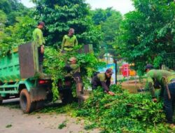 Cegah Pohon Tumbang, Sudin Pertamanan dan Kehutanan Jaktim Lakukan Pemangkasan