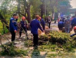 BPBD Kota Tangerang Evakuasi Pohon Tumbang di Daan Mogot