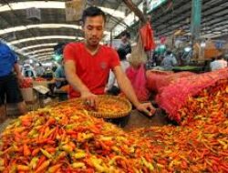 Harga Cabai Melambung Tinggi di Kota Bogor