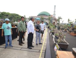 Pameran Bonsai Merdeka Hadirkan Ratusan Bonsai dari Seluruh Indonesia