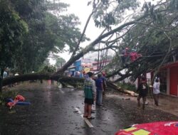 Pohon Tumbang Terjunkan Damkar Kabupaten Bogor