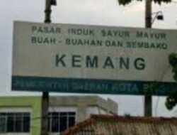 Pasar Kemang Belum Dapat Direnovasi Karena Kendala Ini