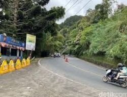 Cara Jitu Hindari Kemacetan Puncak Bogor Akhir Pekan